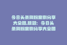 今日头条刷粉案例分享大全图,标题：今日头条刷粉案例分享大全图——揭秘成功背后的秘密策略!-